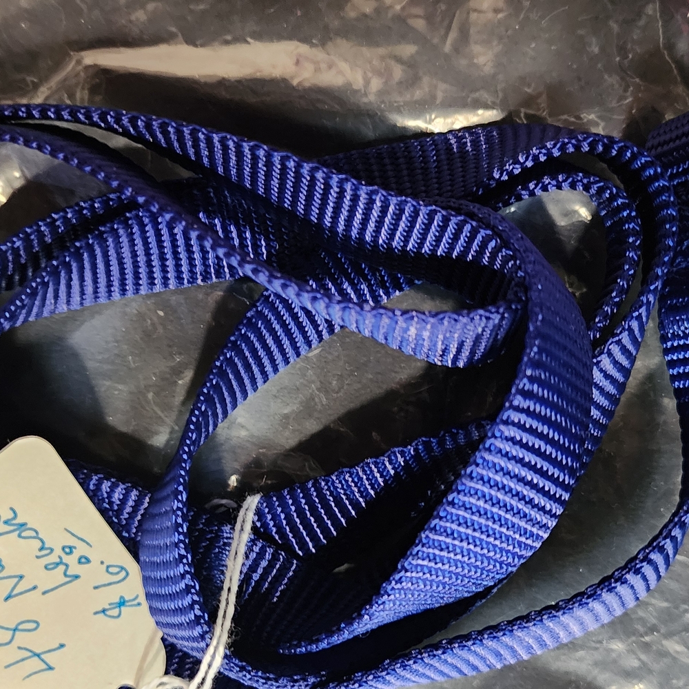 Vibrant Blue Striped Belt